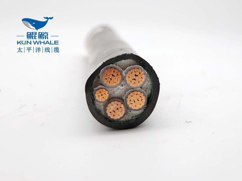 wdzyjy4x240+1x120低煙無鹵電纜 wdzyjy4x240+1x120低煙無鹵電纜